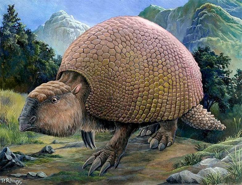 1、雕齿兽
雕齿兽是体型庞大的装甲哺乳动物，大约于1万年前
