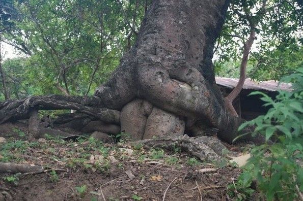 你可以多看几眼，然后联想下。