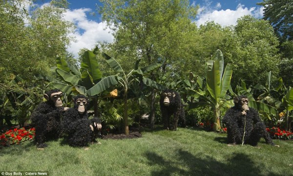 土堆上的猴子一家，园艺师把大叶植物移到蒙特利尔作出它们的生存