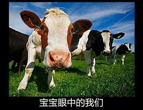 宝宝眼中的我们