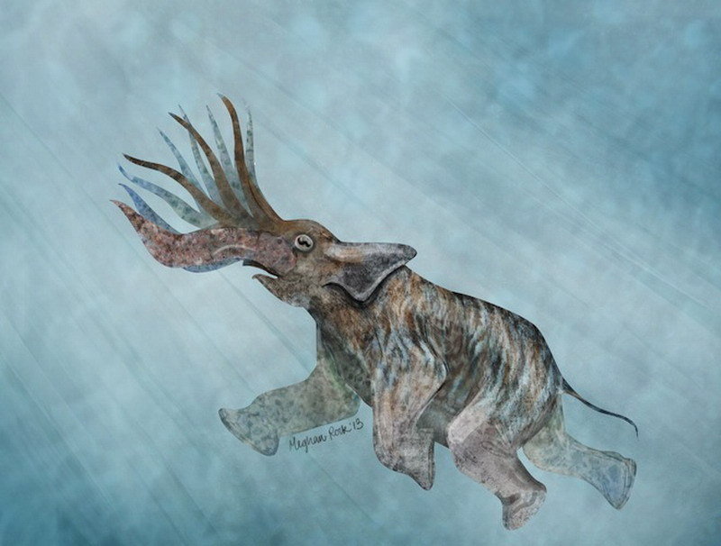 5、乌贼大象，这是一种两栖生物，长着多个“象鼻”，能够随着环